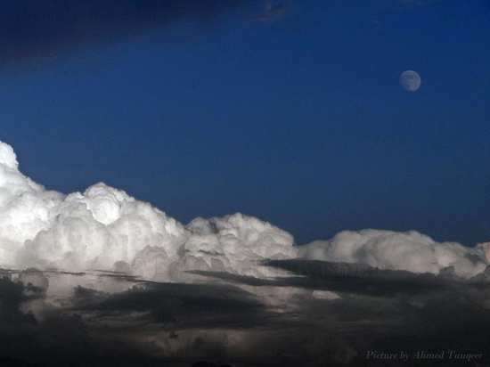 peacewatchkashmirgallery29112012 (6).jpg